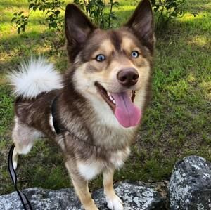 Meet your Posher, Wendy